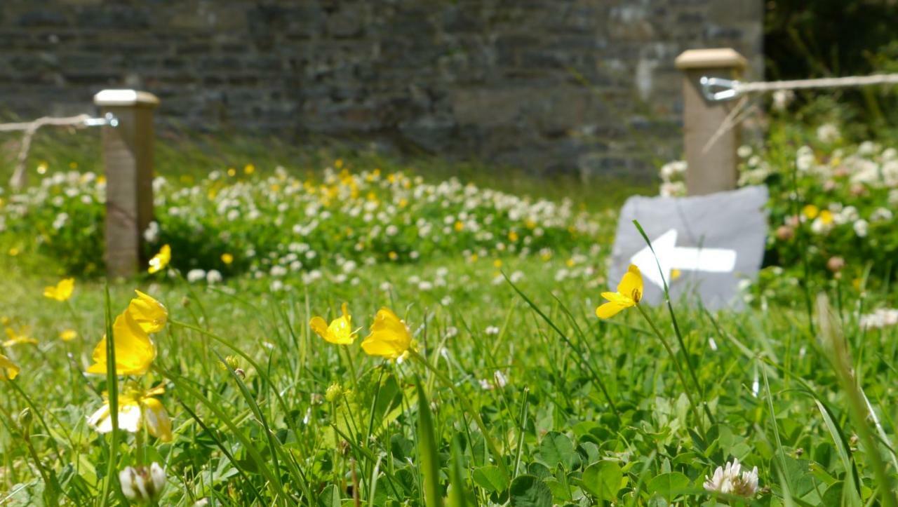 Braemore Walled Garden B&B Exterior photo